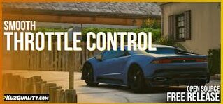 throotle control.jpg