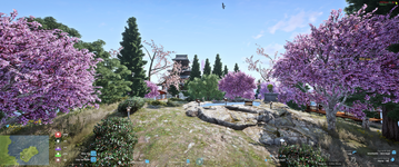Sakura 3.png